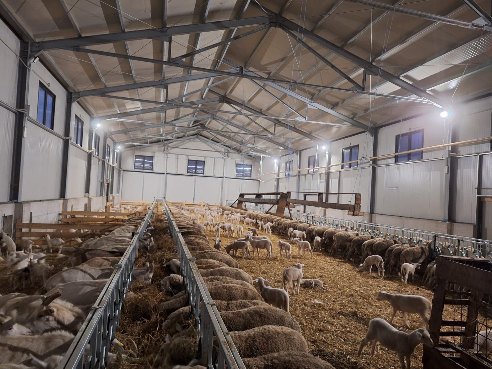 Strutture e capannoni agricoli